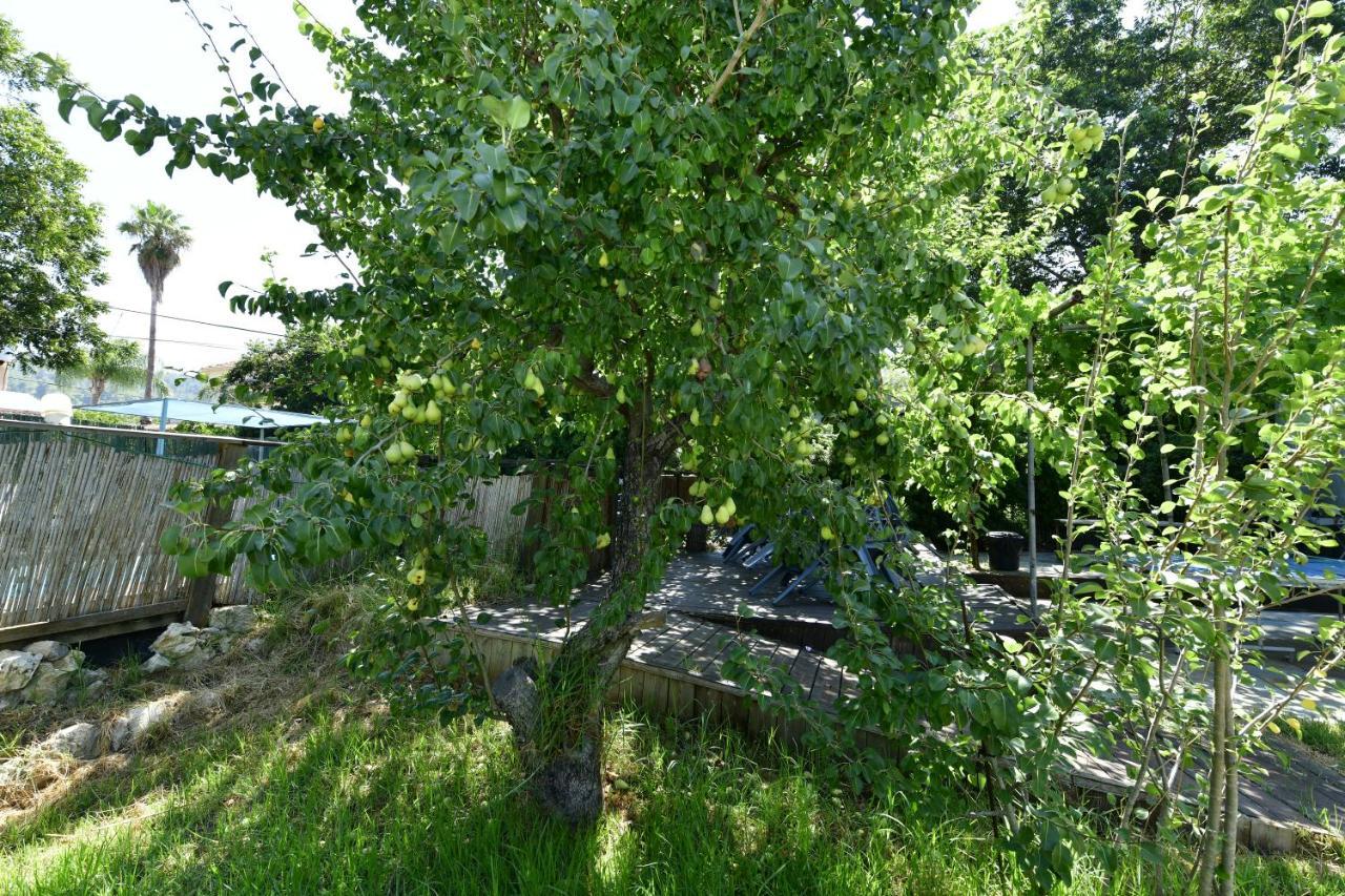 Tzlil Hateva Hosen Exterior photo